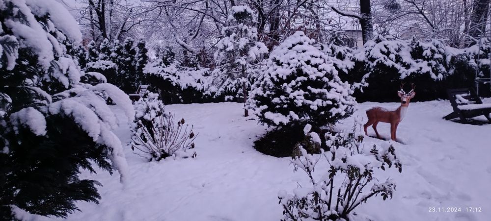 Відпочинок в Поляні . оренда житла.