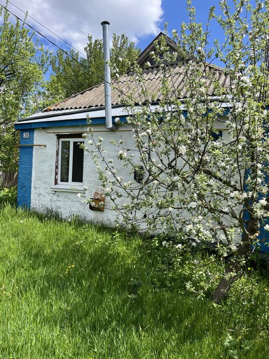 Продається будинок в с.Петропавлівка, Черкаська обл, м.Городище 7 км