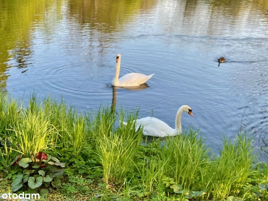 LUKSUSOWY 4 pok apartament PANORAMICZNY widok PARK SIELECKI, 2 garaże