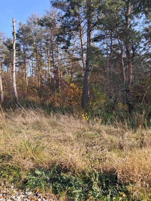 Продаж земельної ділянки під забудову в с.Бохоники 0962