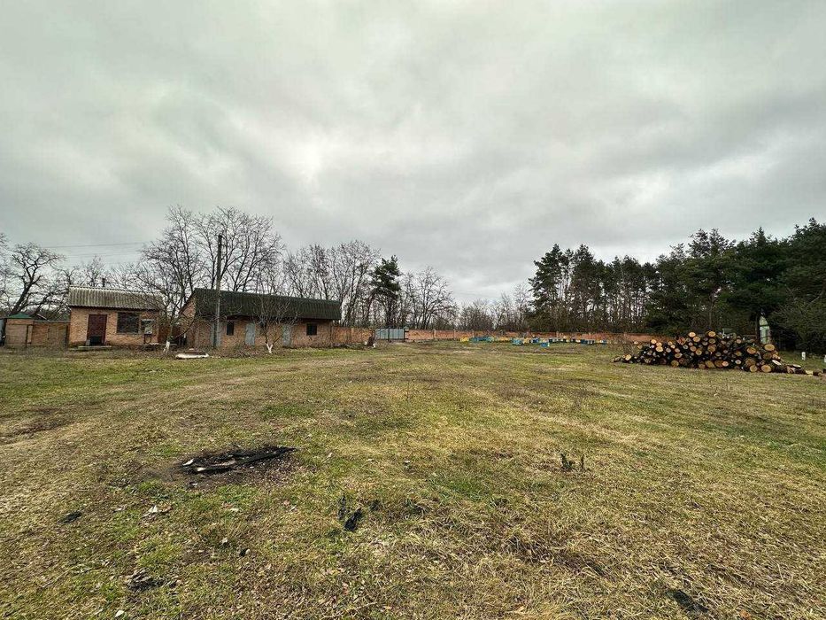 Продам Будинок,землю,с. Гречаники, Переяславський р-н/під виробництво