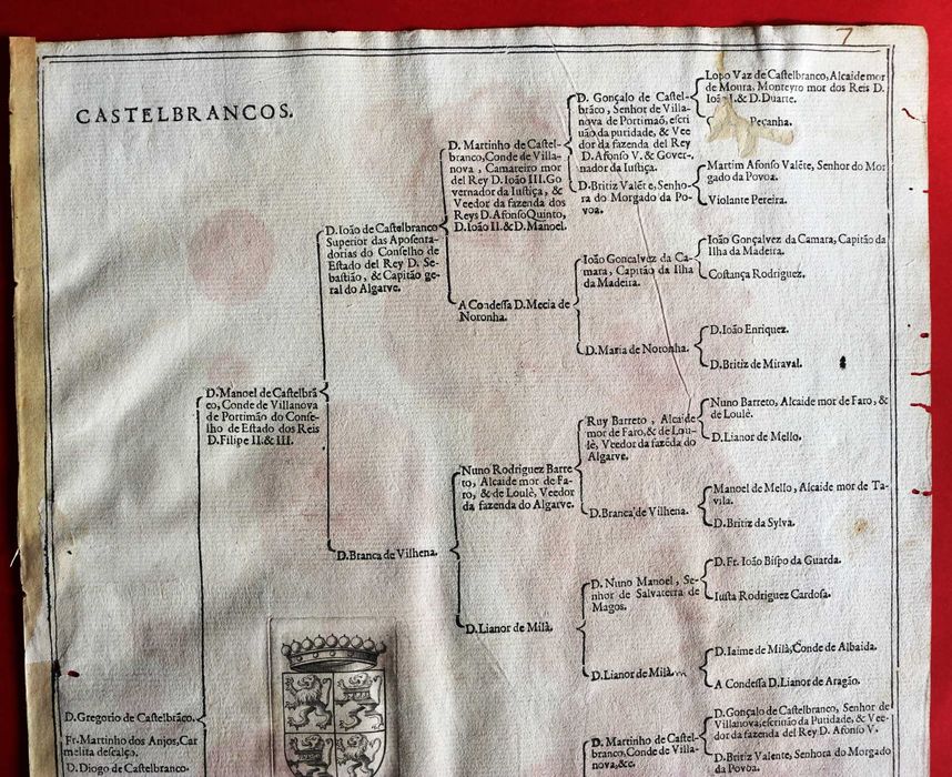 Condes de Vila Nova de Portimão, árvore de costados 1599 rara