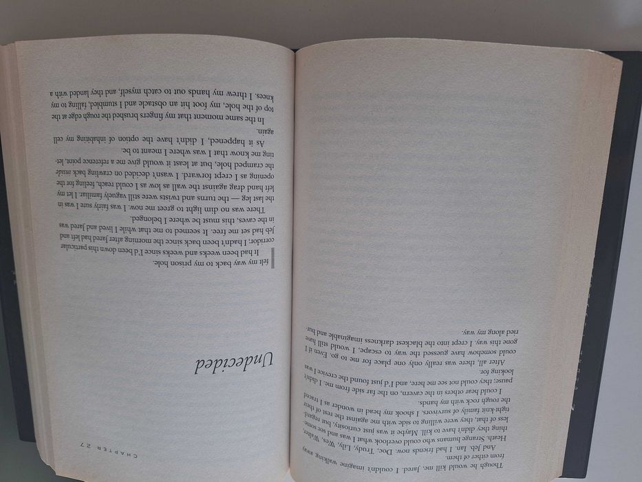 The Host by Stephenie Meyer  (novel - versão Inglesa)