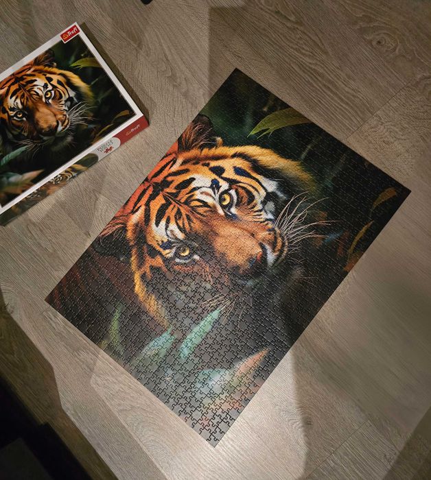 Puzzle Dziki tygrys
