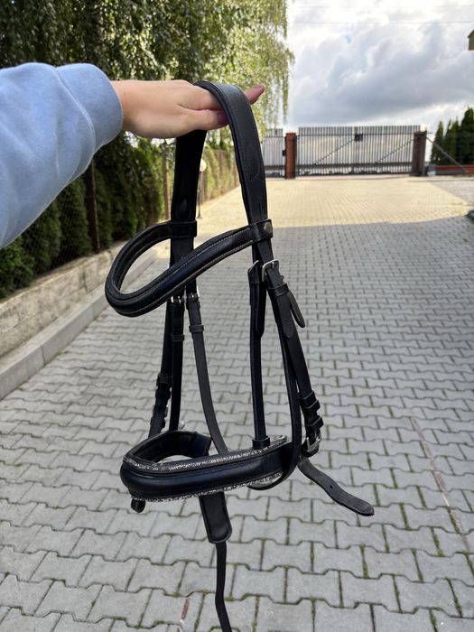 Ogłowie anatomiczne cob
