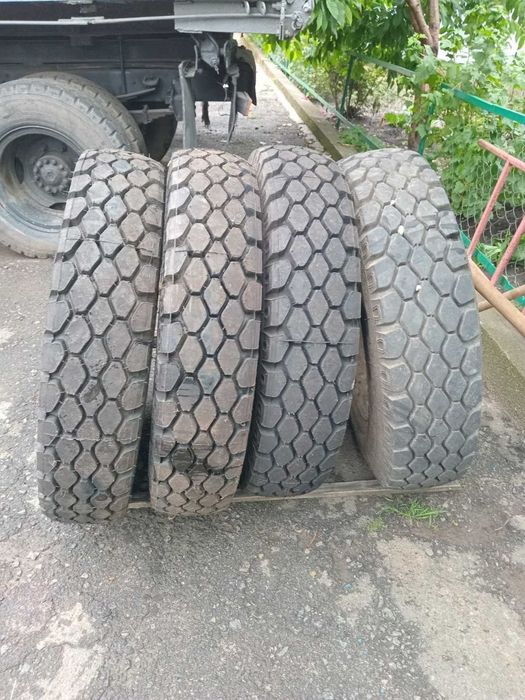 Продам шини 260*508