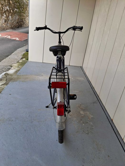 Bicicleta Raleigh