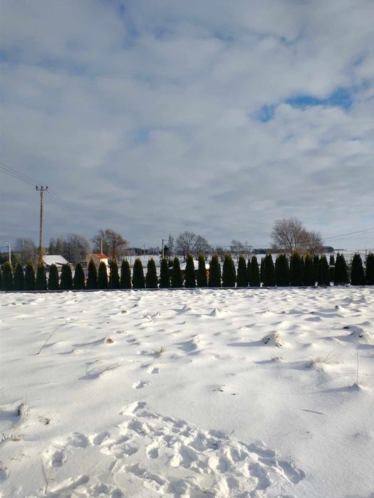 Działka budowlana Milejewo - 11 km od Elbląga