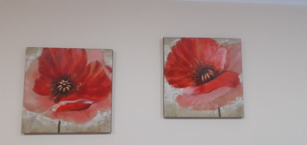 Dwa  obrazy,maki rozmiar 60x60