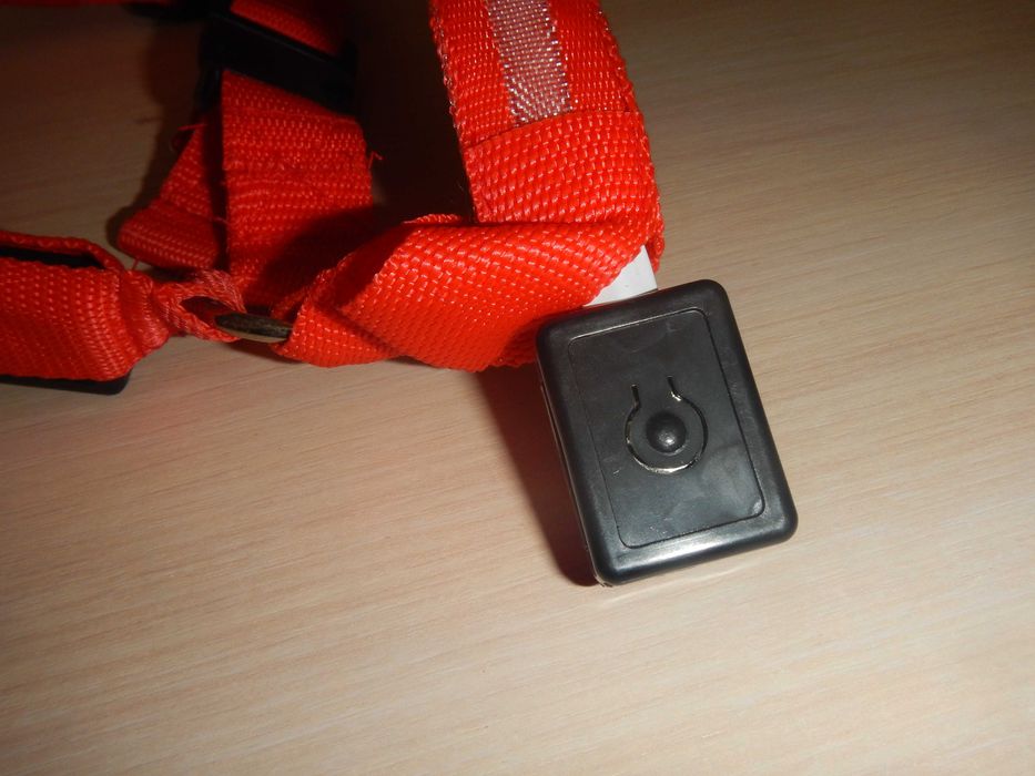 шлея зі світлодіодами р.М(44см)