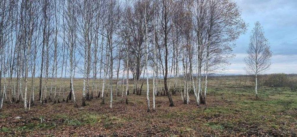Piękna działka w Lęborku (1 km od centrum) z planem zagospodarowania - View 6