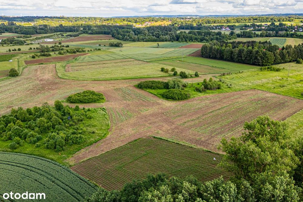 Działka 57 arów – idealna pod Krus – Palikówka - Widok 5