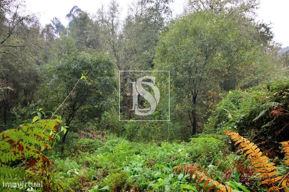 Quinta  Venda em Formariz e Ferreira,Paredes de Coura — Formariz E Ferreira, Viana do Castelo