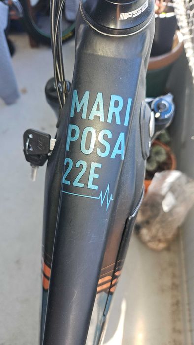 E bike bixs shimano steps