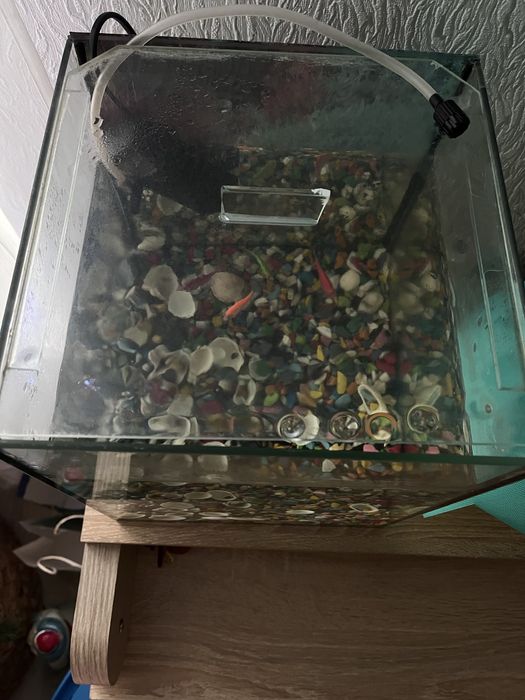 Акваріум з рибками