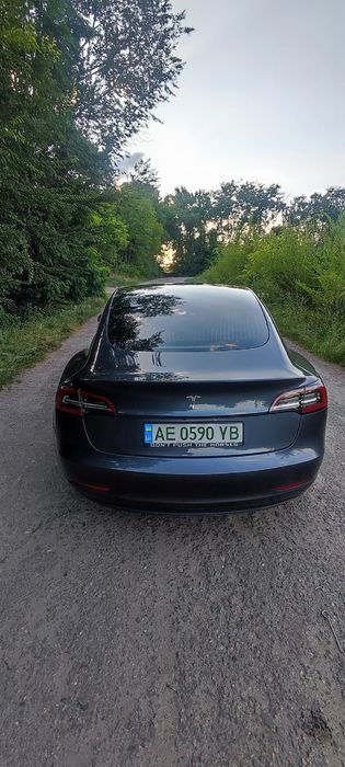 Tesla model 3 2019