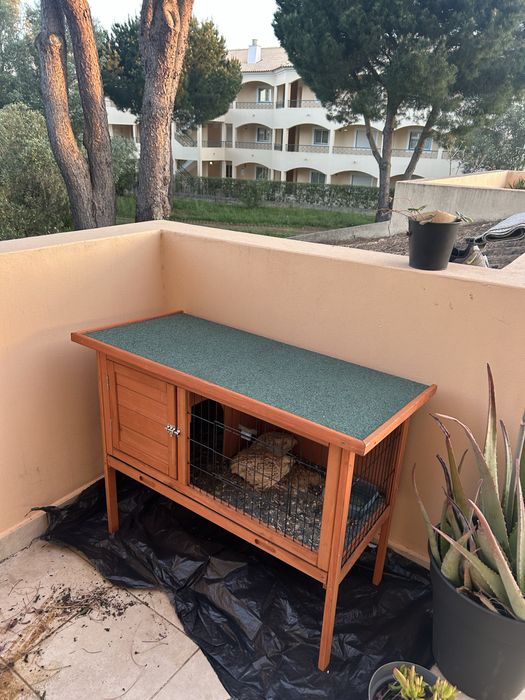 Gaiola de coelho ou pequenas aves