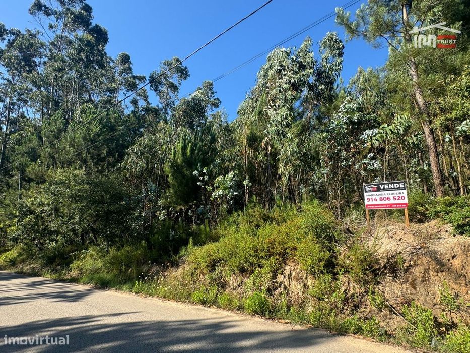 Terreno com área total de 6.800 m2 de pinhal e eucaliptos no Escand... — Atouguia, Santarém