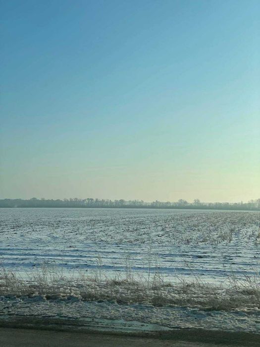 Здам в оренду землю сільськогосподарського призначення