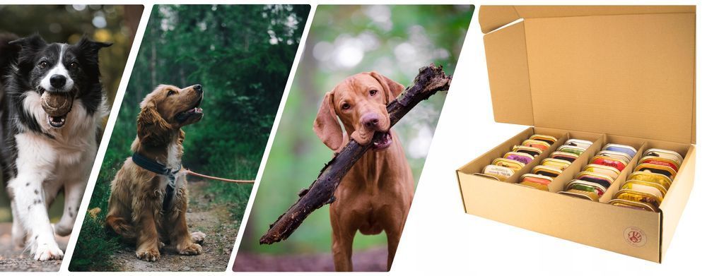 Mokra Karma Dla Psa Wielka Paka, Mix Smaków 28X300G, 8,4 Kg