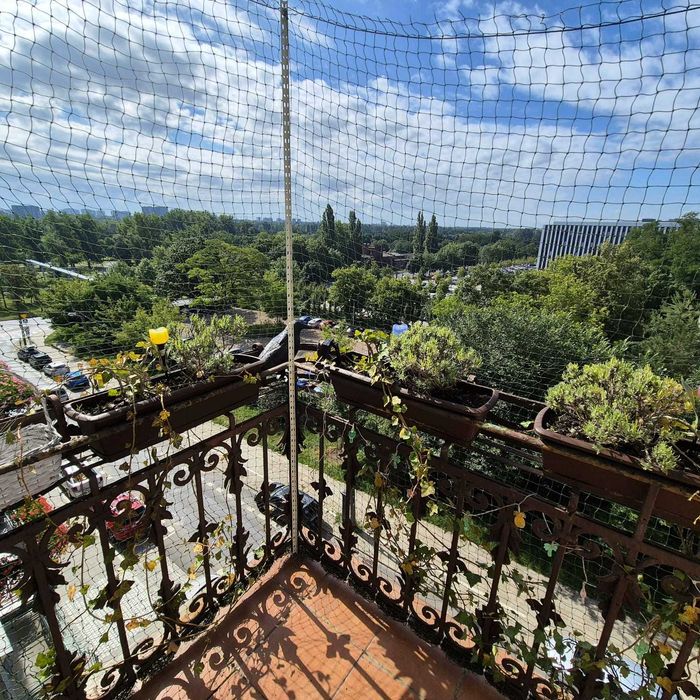 Na sprzedaż przestronne mieszkanie w kamienicy na Wildzie – 61 m² z widokiem na park
