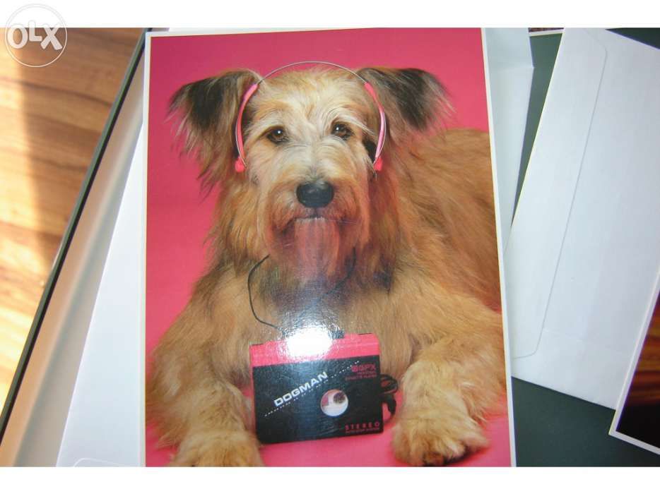 Colecção de 8 postais antigos da impact 2000 - como novos