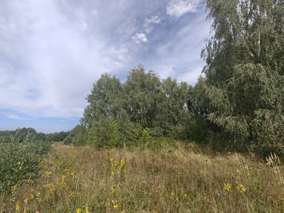 Przepiękna działka z linią brzegową Jeziora