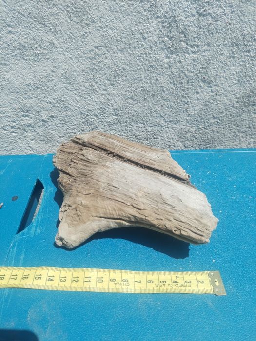 Troncos de deriva / para aquário