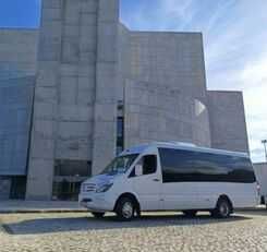 Minibus Mercedes sprinter 519