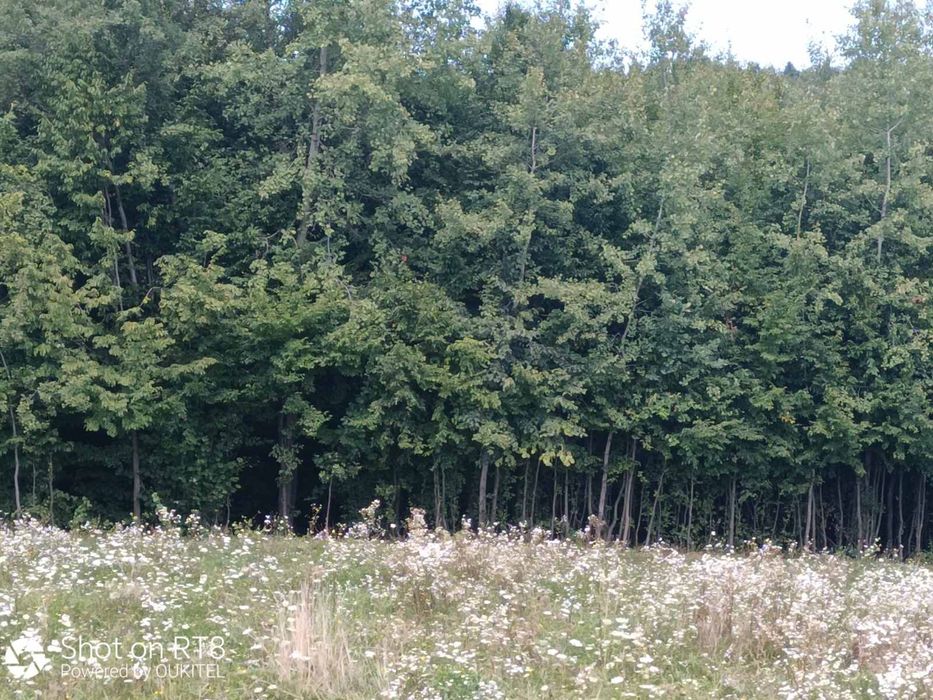 продам земельну ділянку площею 0,1400 га с. Вербовець