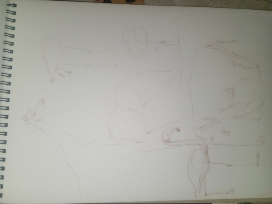 Álbum de desenhos da Manuela