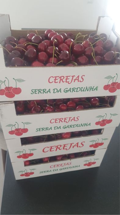 Fundão - Cerejas