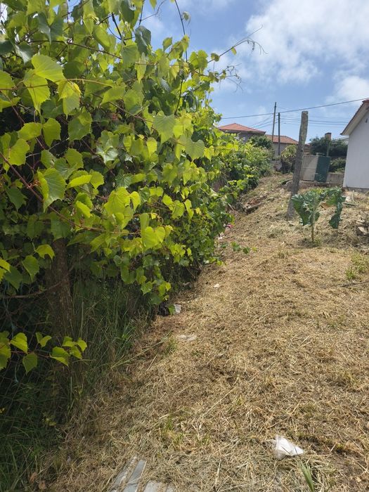 Limpeza terrenos - Vila Nova de Gaia