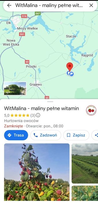 Maliny. owoce malin