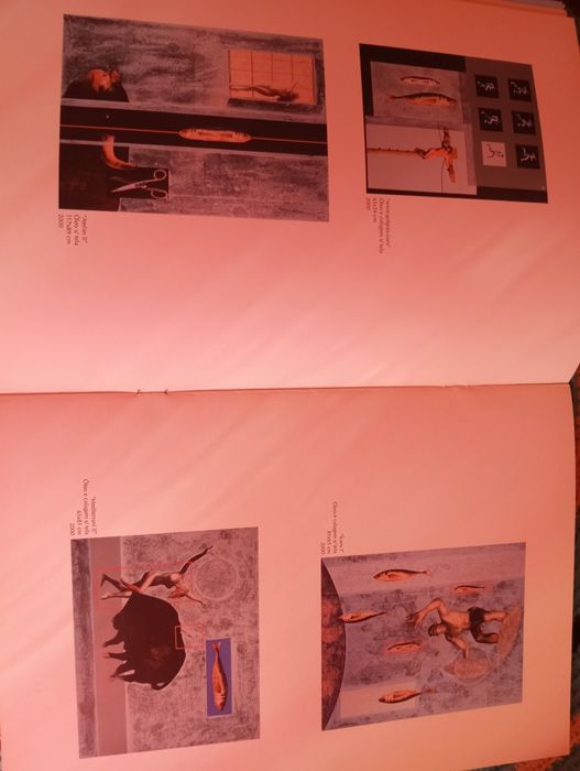 Nuno Medeiros - Obra recente