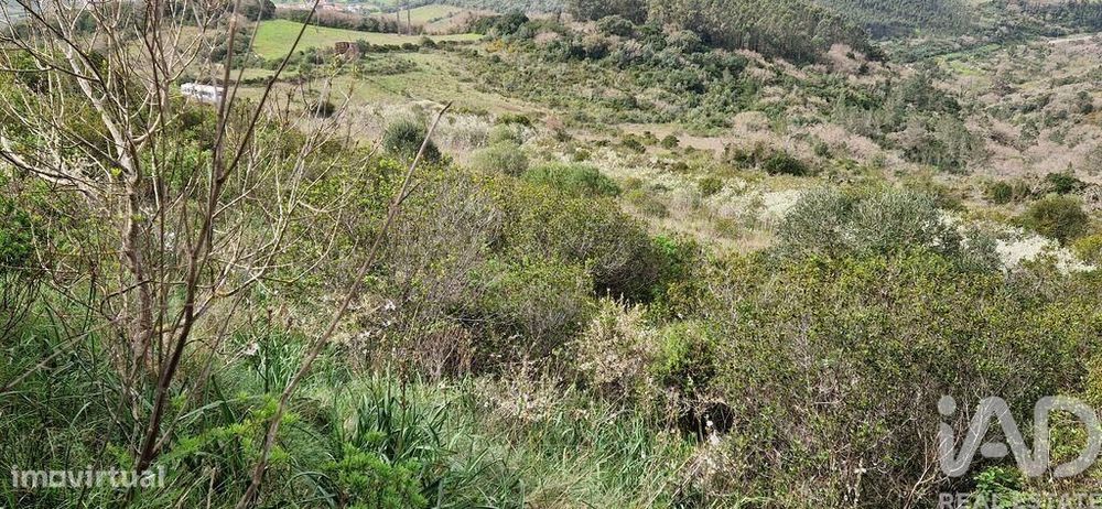 Terreno Agrícola em Mafra
