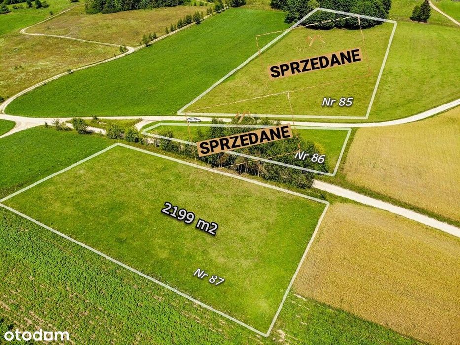 2km od jez. Hańcza | 2199 m² - View 2