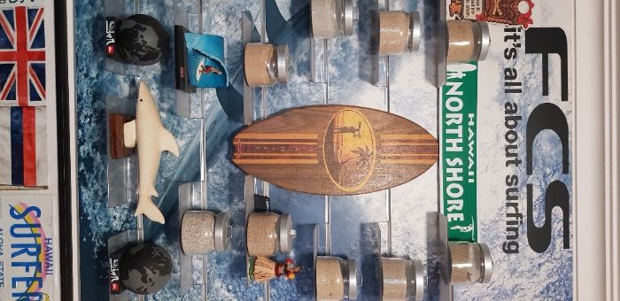 Expositor Original FCS64286246796163121