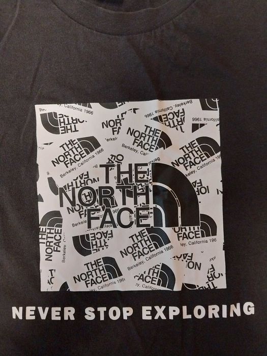 Футболка The Norht Face