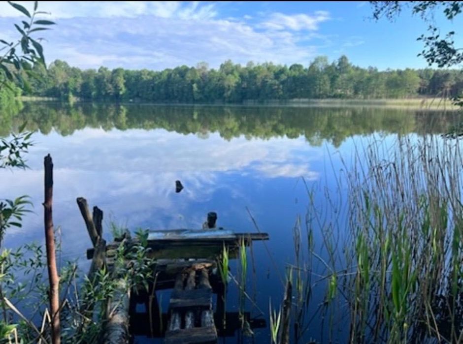Działka z widokiem na jezioro