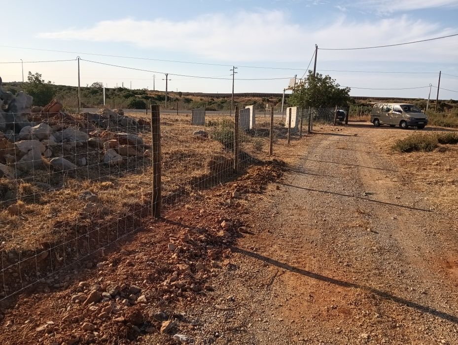 Limpeza de terros/Manutenção de jardins