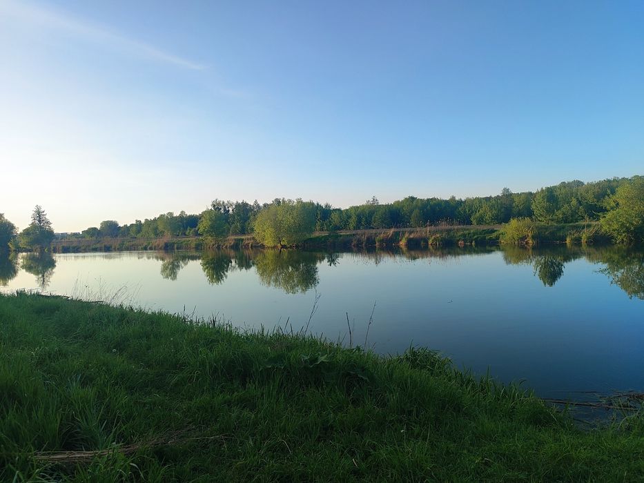 Продам земельну ділянку в селі Шкарівка