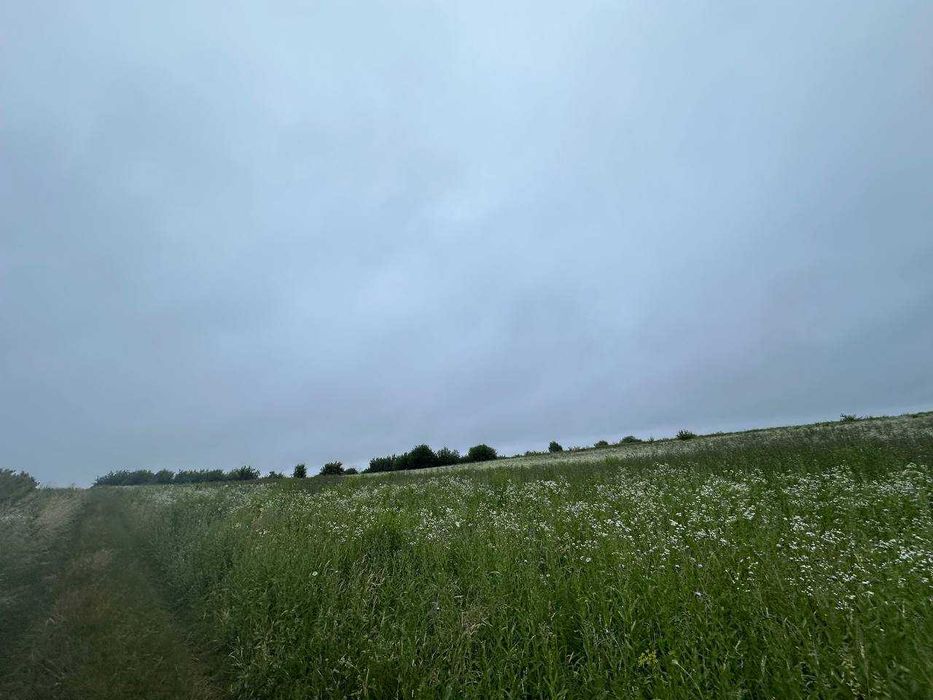 Продаж ділянки Зубра ОСГ 21сот бічна вулиці Гонти