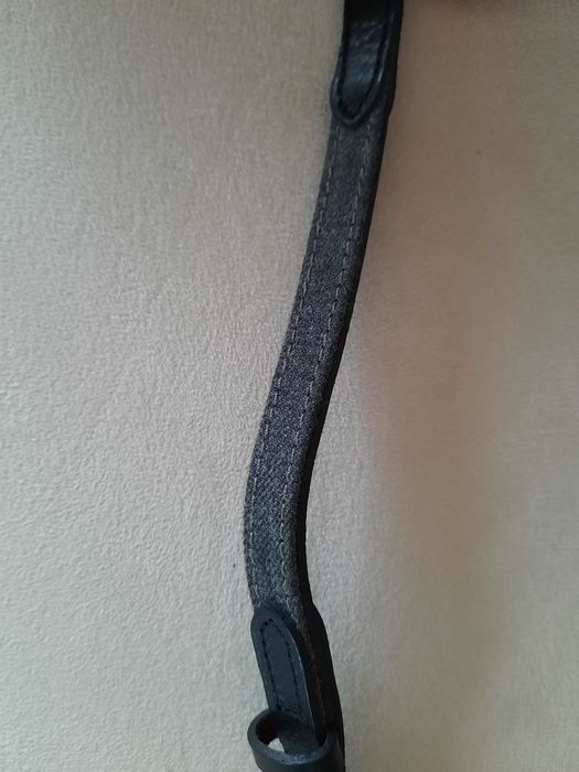 Coleira para cão