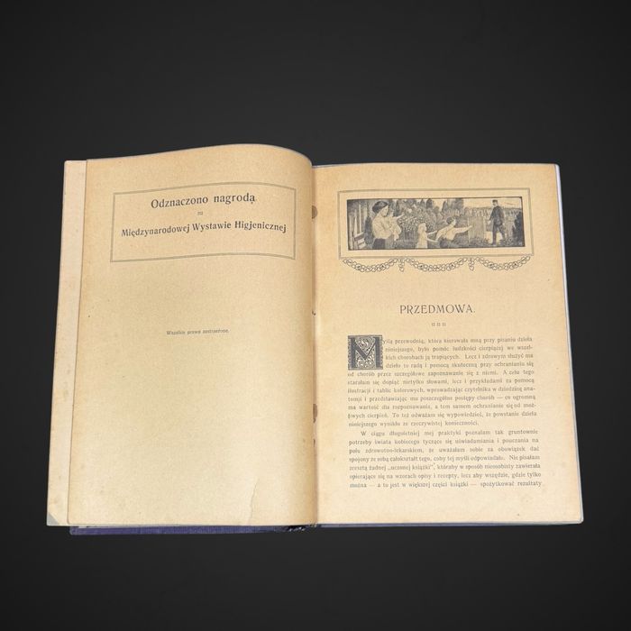 Antyk Lekarka Domowa Dr med. Janina Springer  przedwojenna encyklopedia B61/042501