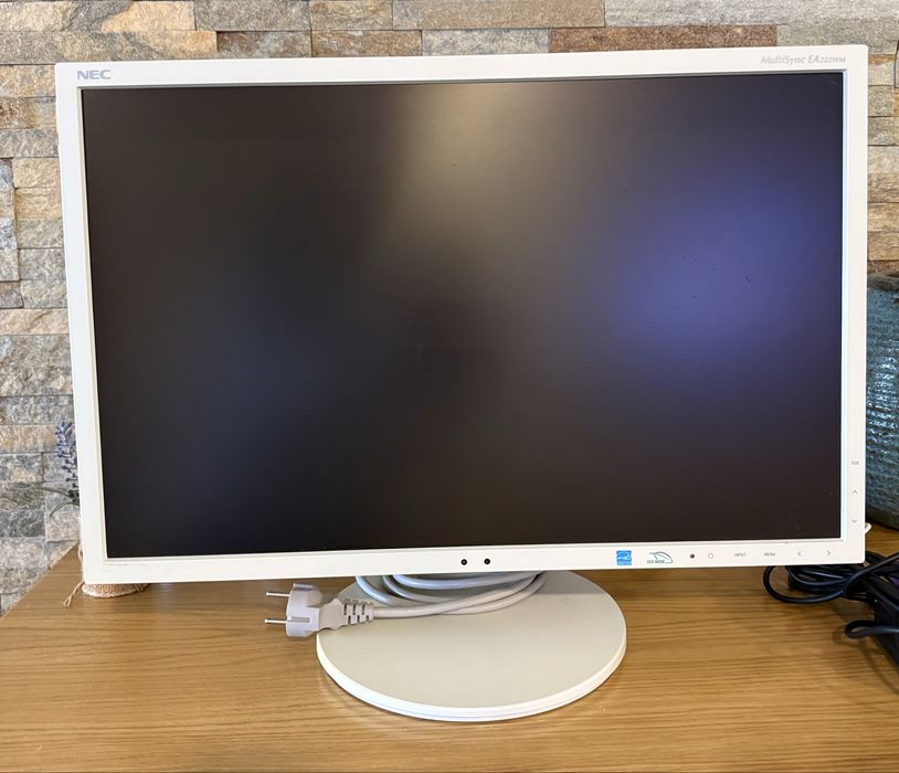Monitor PC NEC MultiSync EA221WM