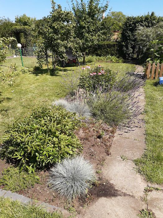 Sprzedam prawo do działki ROD ul. Przemysłowa CHYLONIA