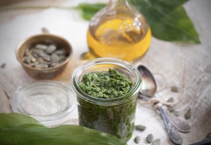 Pesto z czosnku niedzwiedziego bieszczady 2026