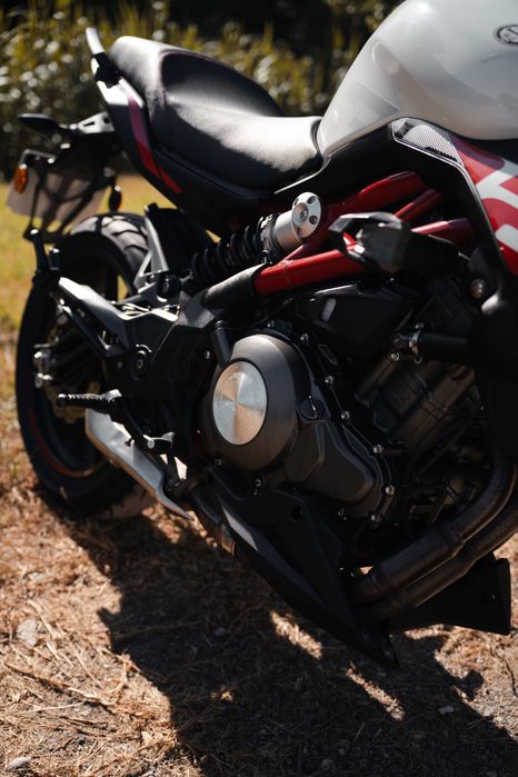 Benelli Bn 302s 2019