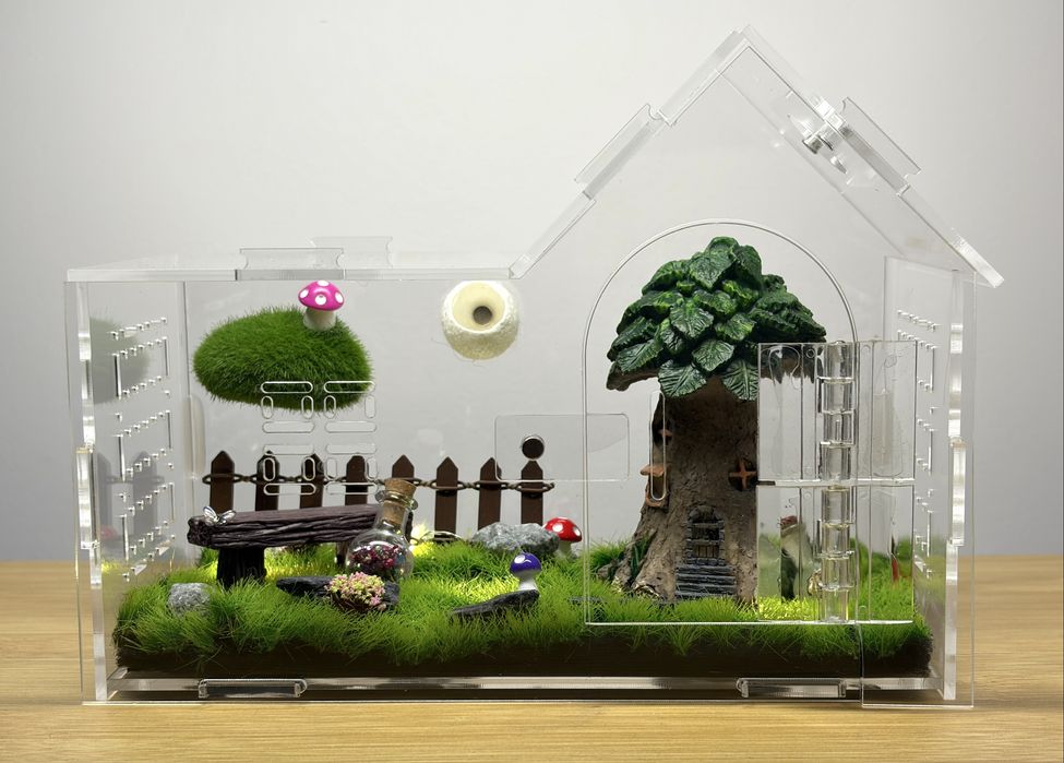 Terrarium dla skakuna pająka